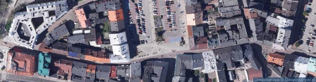 Zdjęcie satelitarne Pałac Strzygowskich - Bielsko-Biała