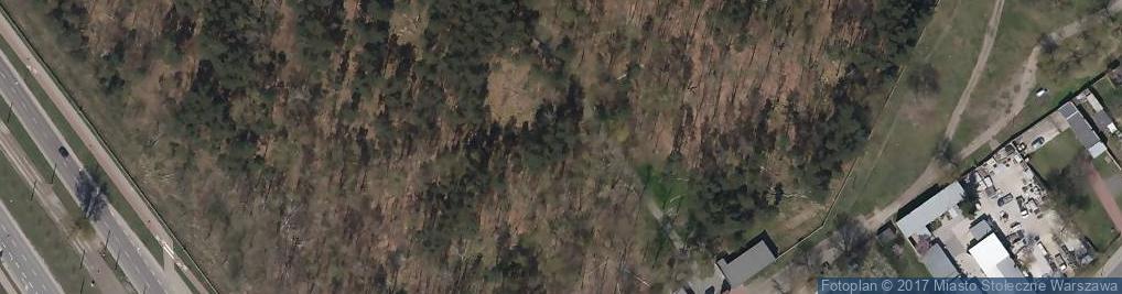 Zdjęcie satelitarne Park Szypowskiego4