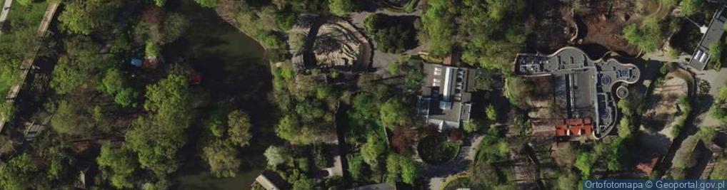 Zdjęcie satelitarne Parthenos sylvia (Wroclaw zoo)-1