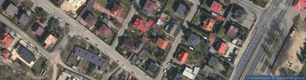 Zdjęcie satelitarne Pinus mugo nothosubsp. rotundata tree 03