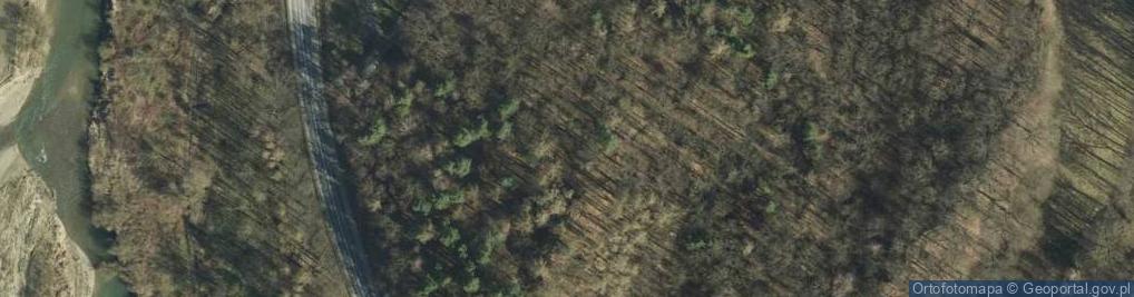 Zdjęcie satelitarne PL - Nature reserve Skamieniale Miasto - Kroton 003