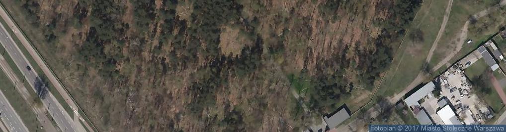 Zdjęcie satelitarne Plan kirkutu na Bródnie