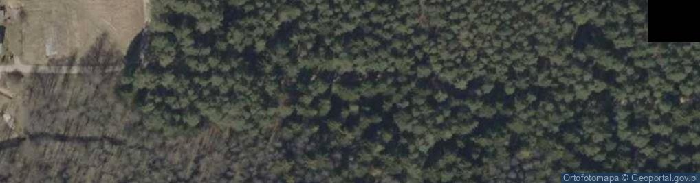 Zdjęcie satelitarne Podlaskie - Dobrzyniewo Duze - rezerwat Kulikówka - wrzosy
