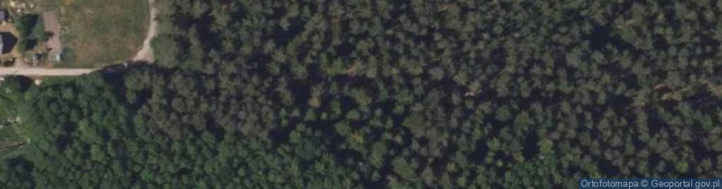 Zdjęcie satelitarne Podlaskie - Dobrzyniewo Duze - rezerwat Kulikówka - wrzosy