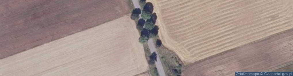 Zdjęcie satelitarne Podlaskie - Sokółka - Stara Kamionka - DW674 - pano - v-SW