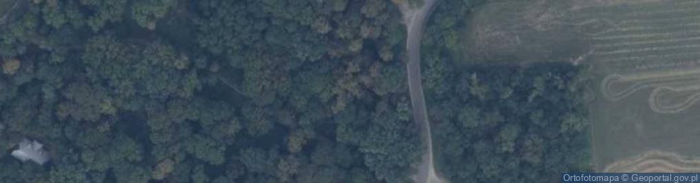 Zdjęcie satelitarne Podzamcze izba