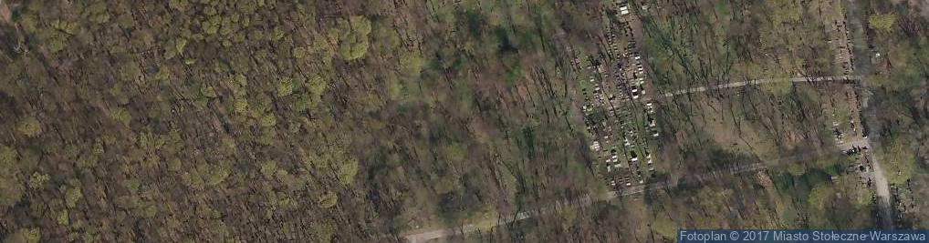 Zdjęcie satelitarne POL JCP grob aleksander berkenheim