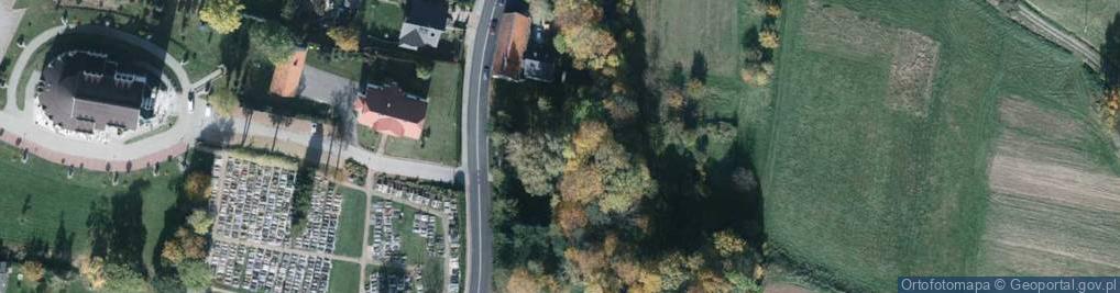 Zdjęcie satelitarne POL Międzyrzecze Górne Ołtarz w lasku
