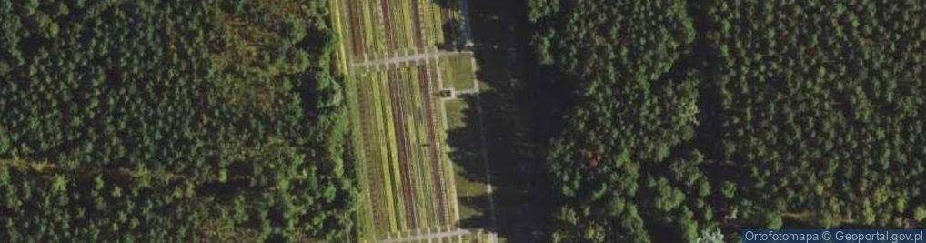 Zdjęcie satelitarne POL Palmiry cemetery2