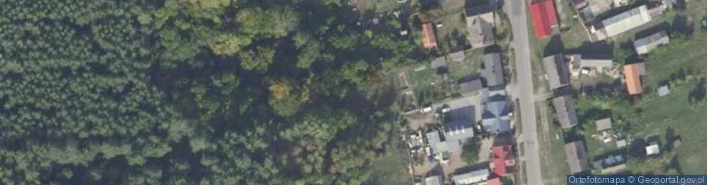 Zdjęcie satelitarne POL Radolin COA