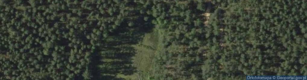 Zdjęcie satelitarne Poland. Gmina Jedwabno. Forests 007
