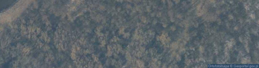 Zdjęcie satelitarne Poland - Royal Stone by Chrzaszczewska Island