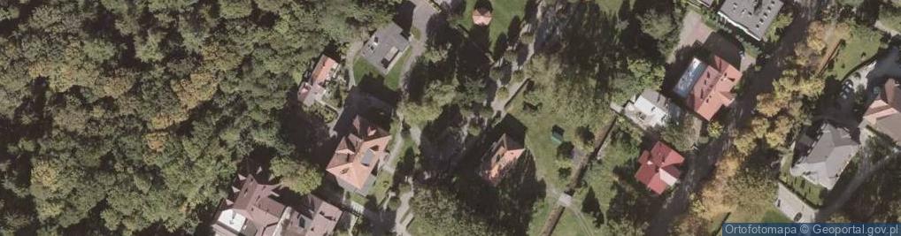 Zdjęcie satelitarne Pseudotsuga menziesii Duszniki Zdrój 6