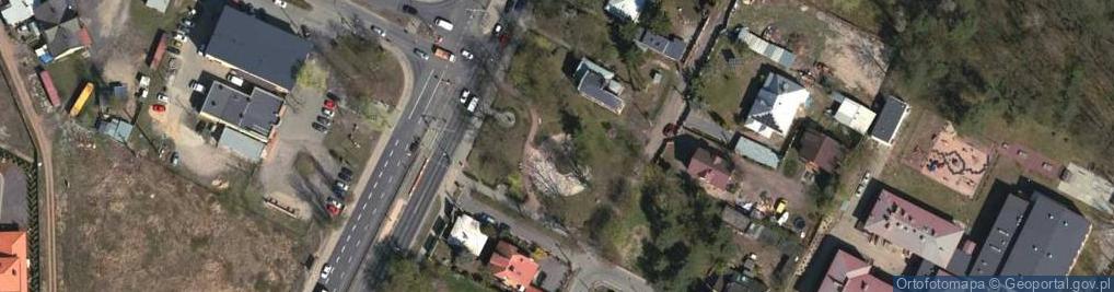 Zdjęcie satelitarne Pseudotsuga menziesii menziesii tree Marki