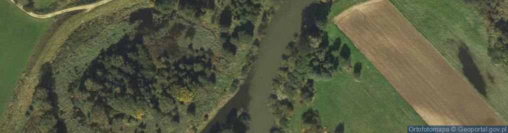 Zdjęcie satelitarne Pszczynka.rzeka