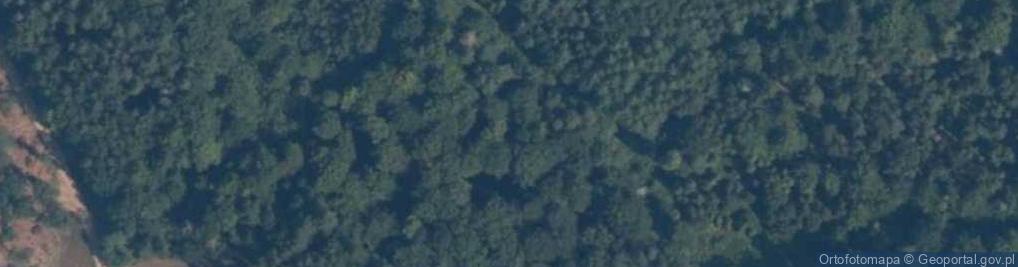Zdjęcie satelitarne Puszcza Darżlubska - Diabelski Kamień 01