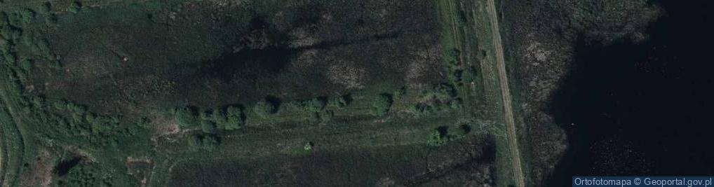 Zdjęcie satelitarne Radoryz-Koscielny-fragment-wsi-090118a