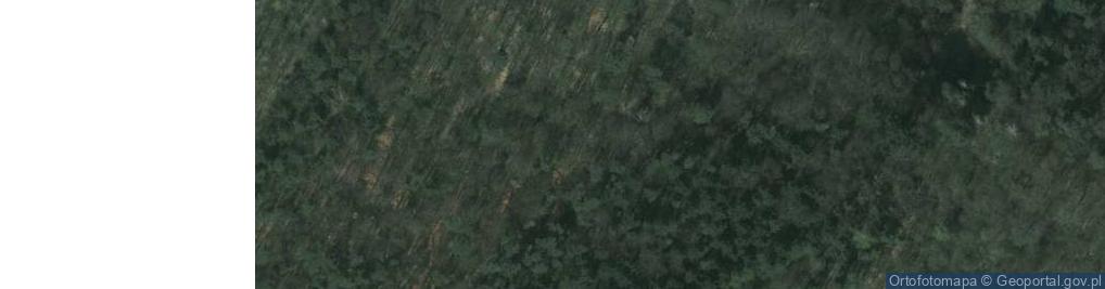 Zdjęcie satelitarne Rezerwat przyrody Kajasówka 2