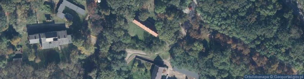 Zdjęcie satelitarne Rogalin Pałac od strony parku