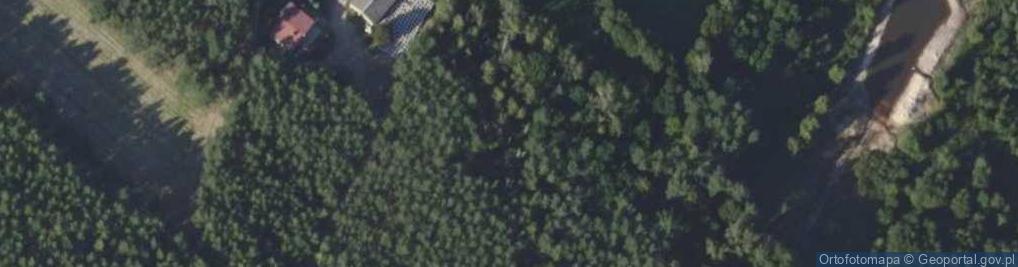 Zdjęcie satelitarne Rojów szkoła
