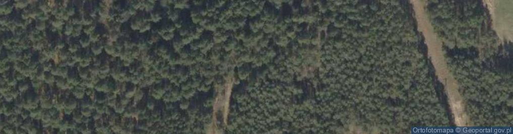 Zdjęcie satelitarne RTCN Krynice - Maszt glowny - Szczyt - A313 i A282