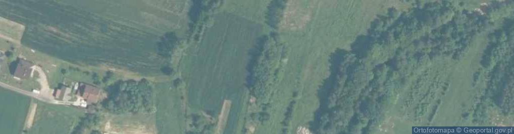 Zdjęcie satelitarne Ryczów (woj małopolskie)-mapa