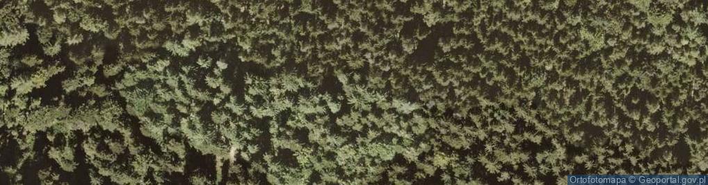 Zdjęcie satelitarne Skała na Sowiej Kopie PL
