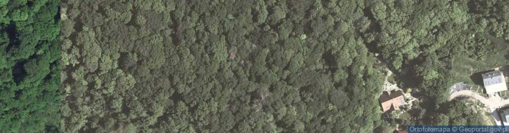 Zdjęcie satelitarne Skały Bielańskie a1