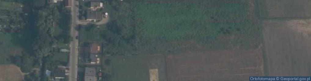 Zdjęcie satelitarne Skarszewy-kosciol