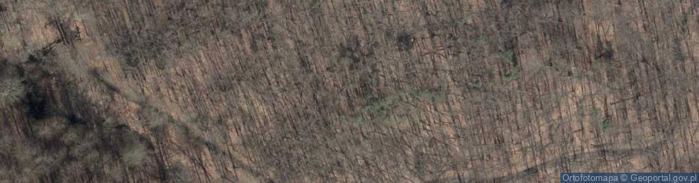 Zdjęcie satelitarne SPK-Puszcza Bukowa 002