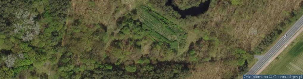 Zdjęcie satelitarne Śrem - Park Powstanców06