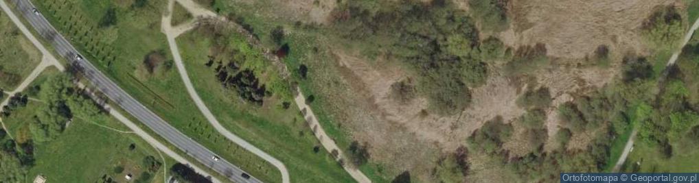 Zdjęcie satelitarne Śrem Park Puchalskiego 6