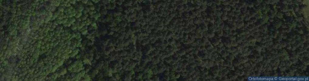 Zdjęcie satelitarne Strzebin centrum