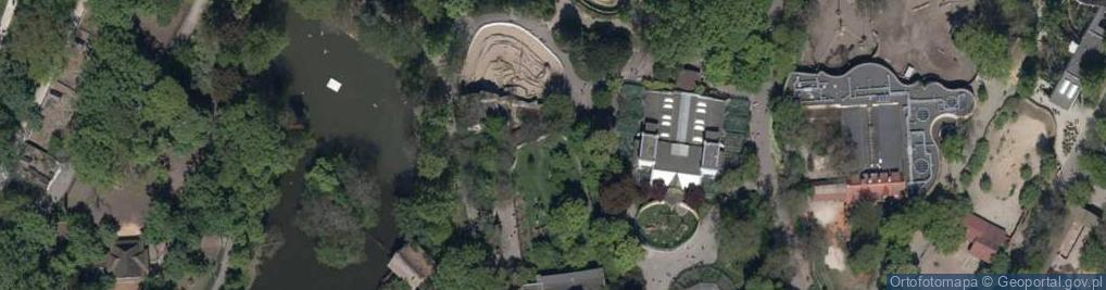 Zdjęcie satelitarne Surnia ulula (Wroclaw zoo)-1