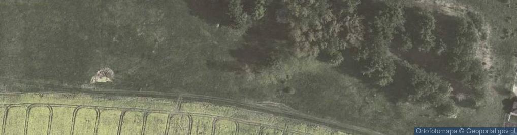Zdjęcie satelitarne Sygneczow V 2009