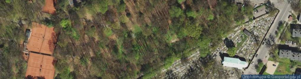 Zdjęcie satelitarne Tarnowskie Góry - Altana 01