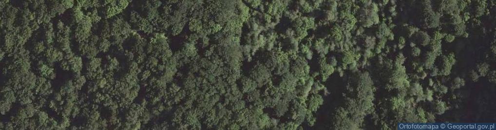 Zdjęcie satelitarne Waldkarpaten SineWiry