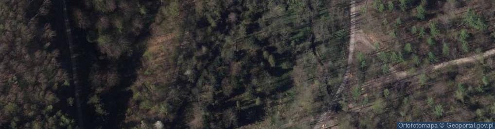 Zdjęcie satelitarne Wapienica (rzeka) 1