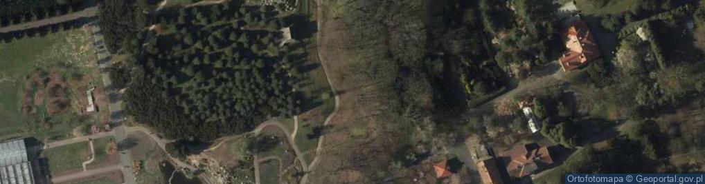 Zdjęcie satelitarne Wejmutka odm. Tortuosa