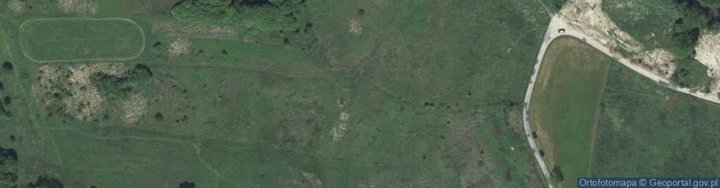 Zdjęcie satelitarne Widok golkowice