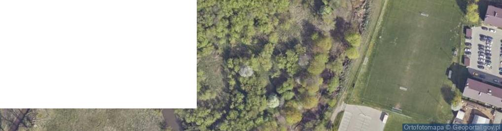 Zdjęcie satelitarne Wieruszów, Podzamcze, kościół pw. św. Rocha