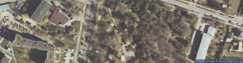 Zdjęcie satelitarne Wlodawa-kosciol01-04