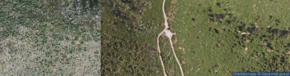 Zdjęcie satelitarne Wychodnia skalna na Malinowskiej Skale