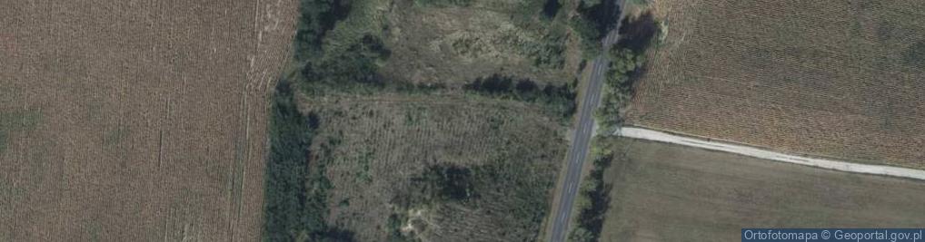 Zdjęcie satelitarne Wylatowo-Mogilno, pomnik czynu spolecznego