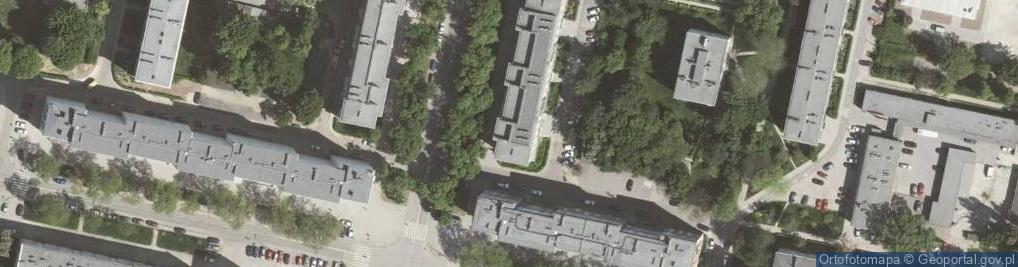 Zdjęcie satelitarne Wystawa Pleszów