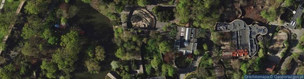 Zdjęcie satelitarne Xenentodon cancila (Wroclaw zoo)-2