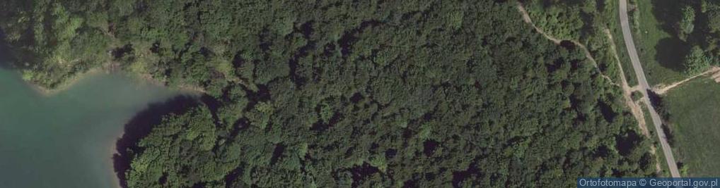 Zdjęcie satelitarne Zawóz Solina lake