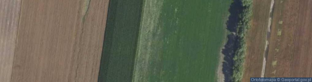 Zdjęcie satelitarne Żelazowa Wola - dworek