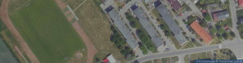 Zdjęcie satelitarne Dog in a hat