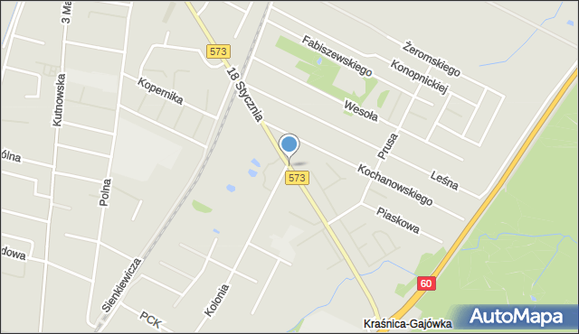 Gostynin, 18 Stycznia, mapa Gostynin